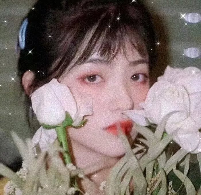 焦头烂鹅